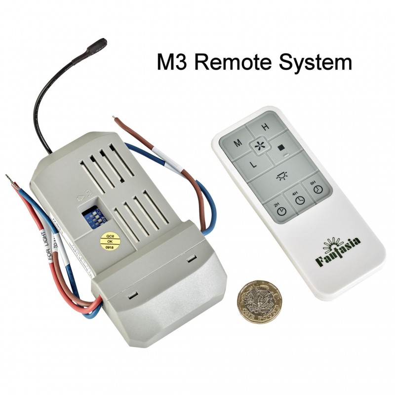 Fantasia M3 Remote System